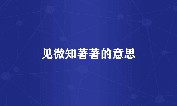 见微知著著的意思