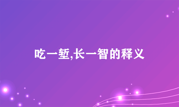 吃一堑,长一智的释义