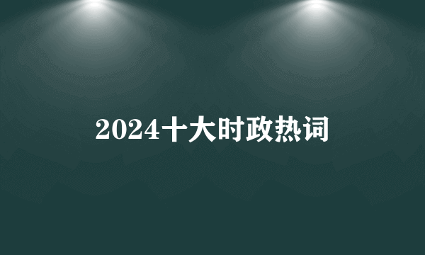 2024十大时政热词