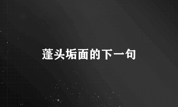 蓬头垢面的下一句