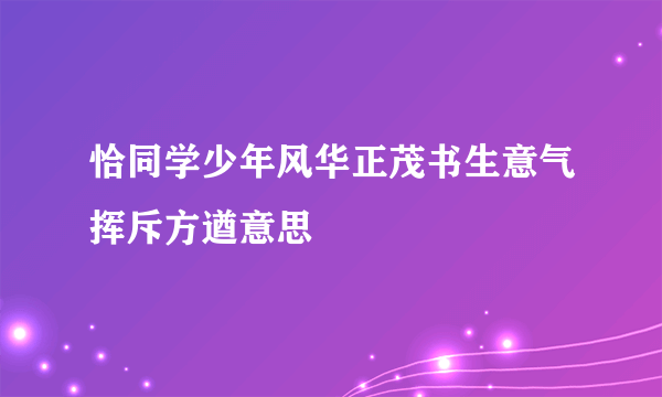 恰同学少年风华正茂书生意气挥斥方遒意思