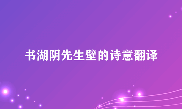 书湖阴先生壁的诗意翻译
