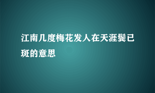 江南几度梅花发人在天涯鬓已斑的意思