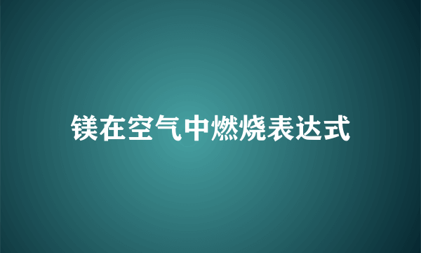 镁在空气中燃烧表达式