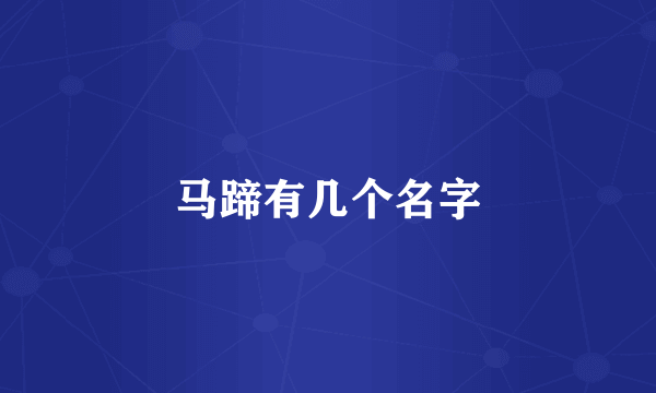 马蹄有几个名字