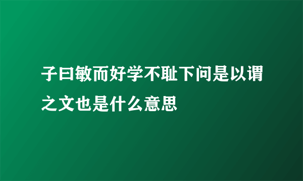子曰敏而好学不耻下问是以谓之文也是什么意思