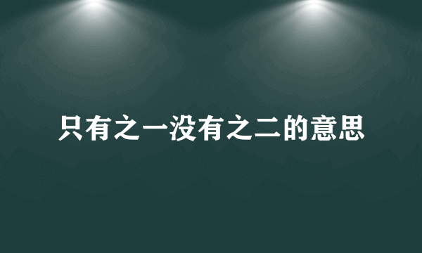 只有之一没有之二的意思