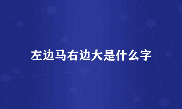 左边马右边大是什么字