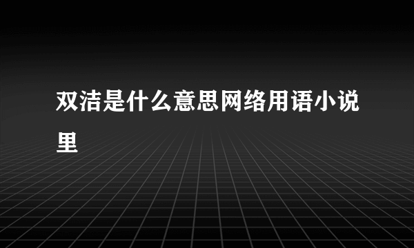 双洁是什么意思网络用语小说里