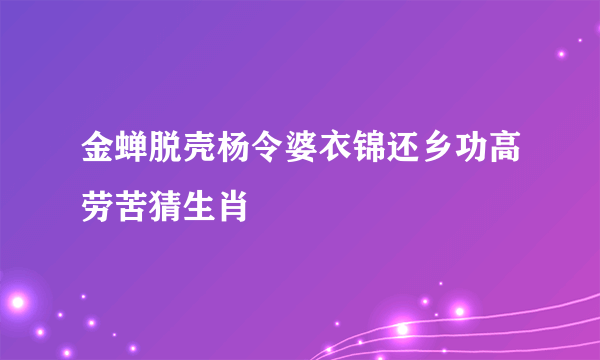 金蝉脱壳杨令婆衣锦还乡功高劳苦猜生肖