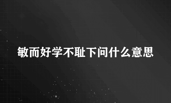 敏而好学不耻下问什么意思