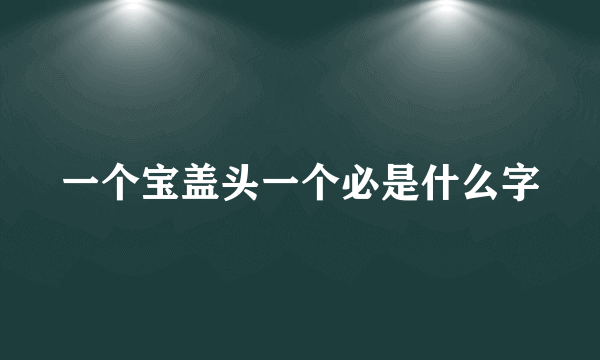 一个宝盖头一个必是什么字