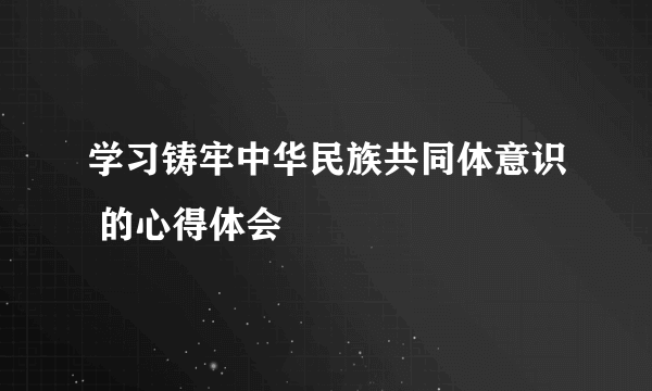 学习铸牢中华民族共同体意识 的心得体会