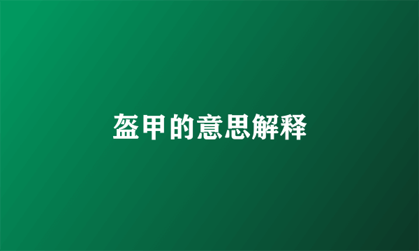 盔甲的意思解释
