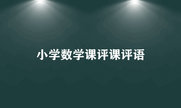 小学数学课评课评语