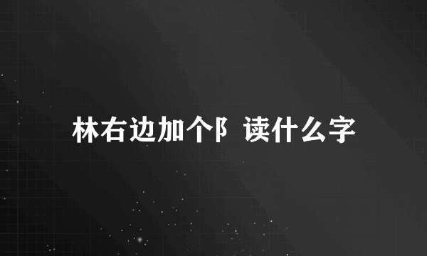 林右边加个阝读什么字
