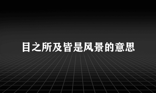 目之所及皆是风景的意思