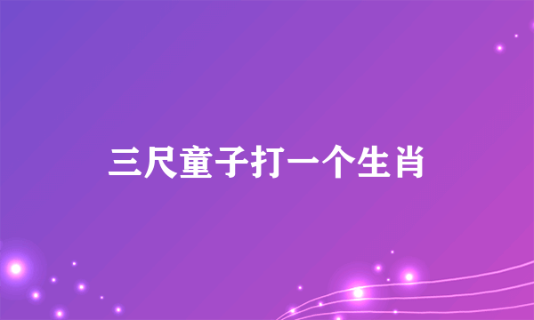 三尺童子打一个生肖