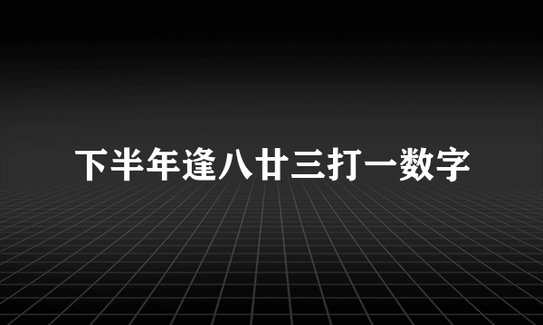 下半年逢八廿三打一数字