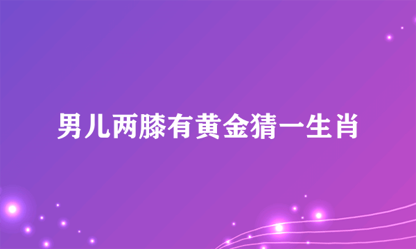 男儿两膝有黄金猜一生肖