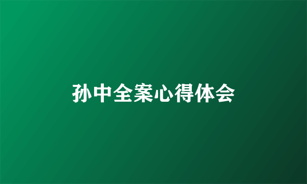 孙中全案心得体会