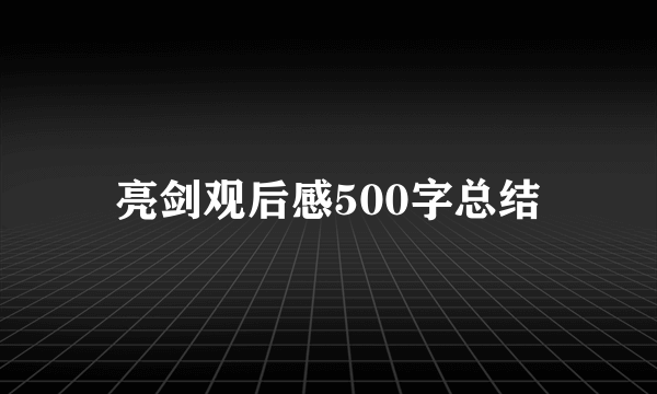 亮剑观后感500字总结