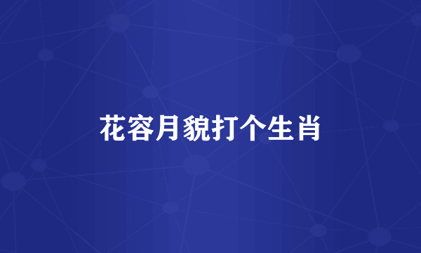 花容月貌打个生肖