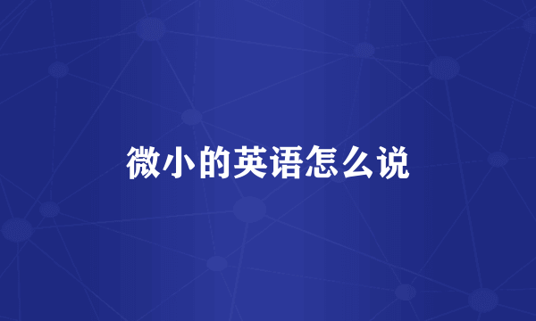 微小的英语怎么说