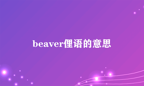 beaver俚语的意思