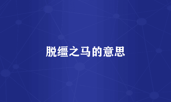 脱缰之马的意思