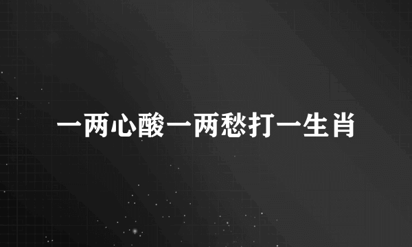 一两心酸一两愁打一生肖