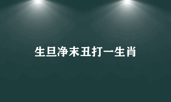 生旦净末丑打一生肖