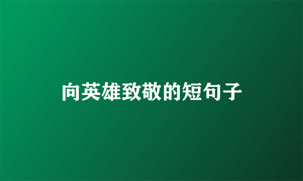 向英雄致敬的短句子