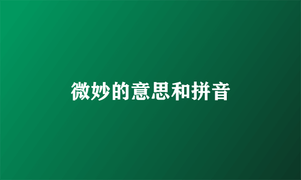 微妙的意思和拼音