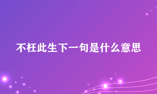不枉此生下一句是什么意思
