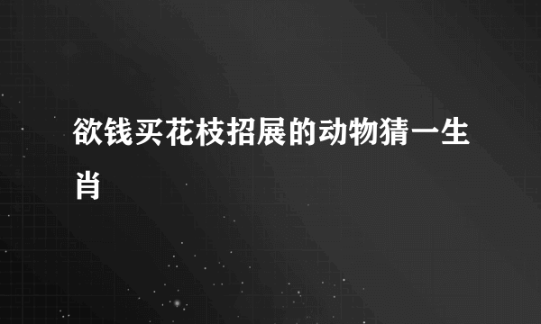 欲钱买花枝招展的动物猜一生肖