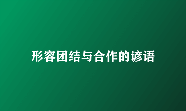 形容团结与合作的谚语