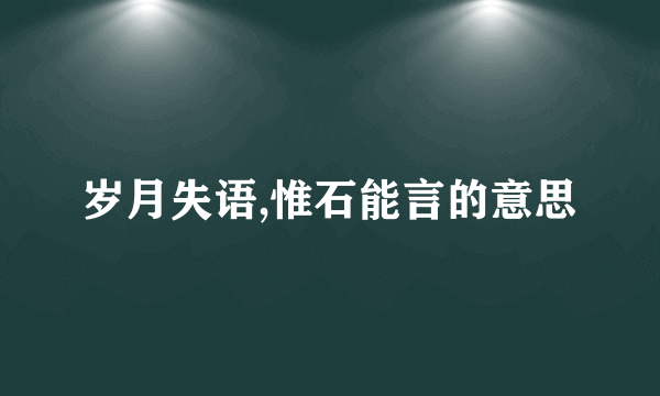 岁月失语,惟石能言的意思