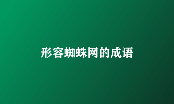 形容蜘蛛网的成语