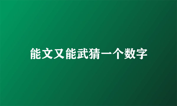 能文又能武猜一个数字