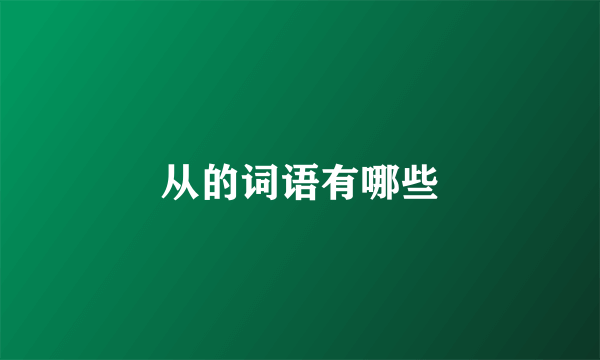 从的词语有哪些