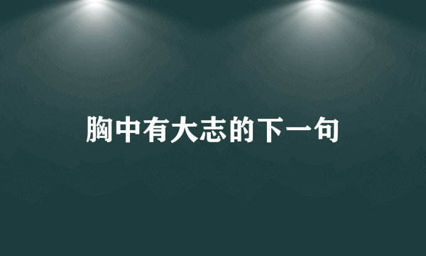 胸中有大志的下一句
