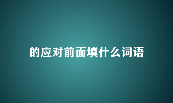 的应对前面填什么词语