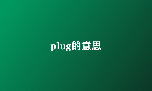 plug的意思