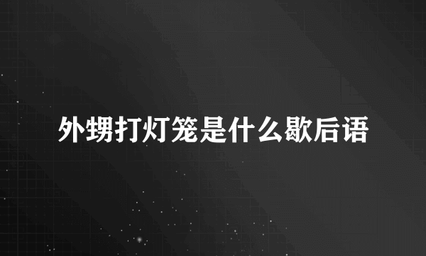 外甥打灯笼是什么歇后语
