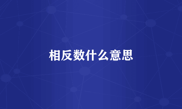 相反数什么意思