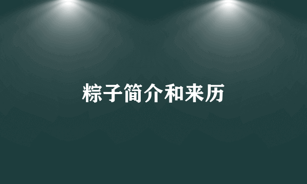 粽子简介和来历