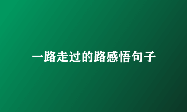 一路走过的路感悟句子