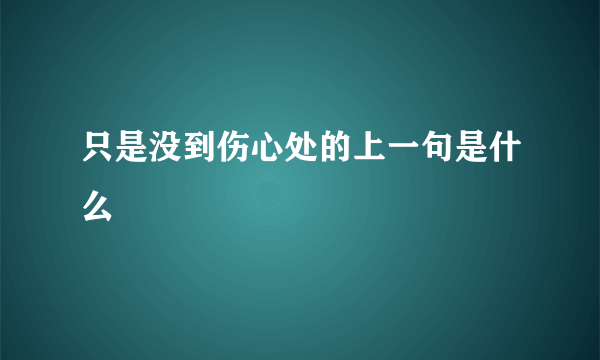 只是没到伤心处的上一句是什么