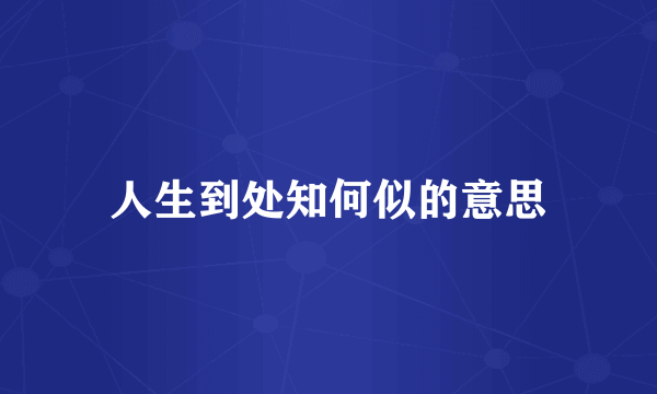 人生到处知何似的意思